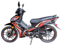 MAXX 125