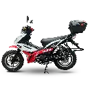 UD1_WEB-10.webp