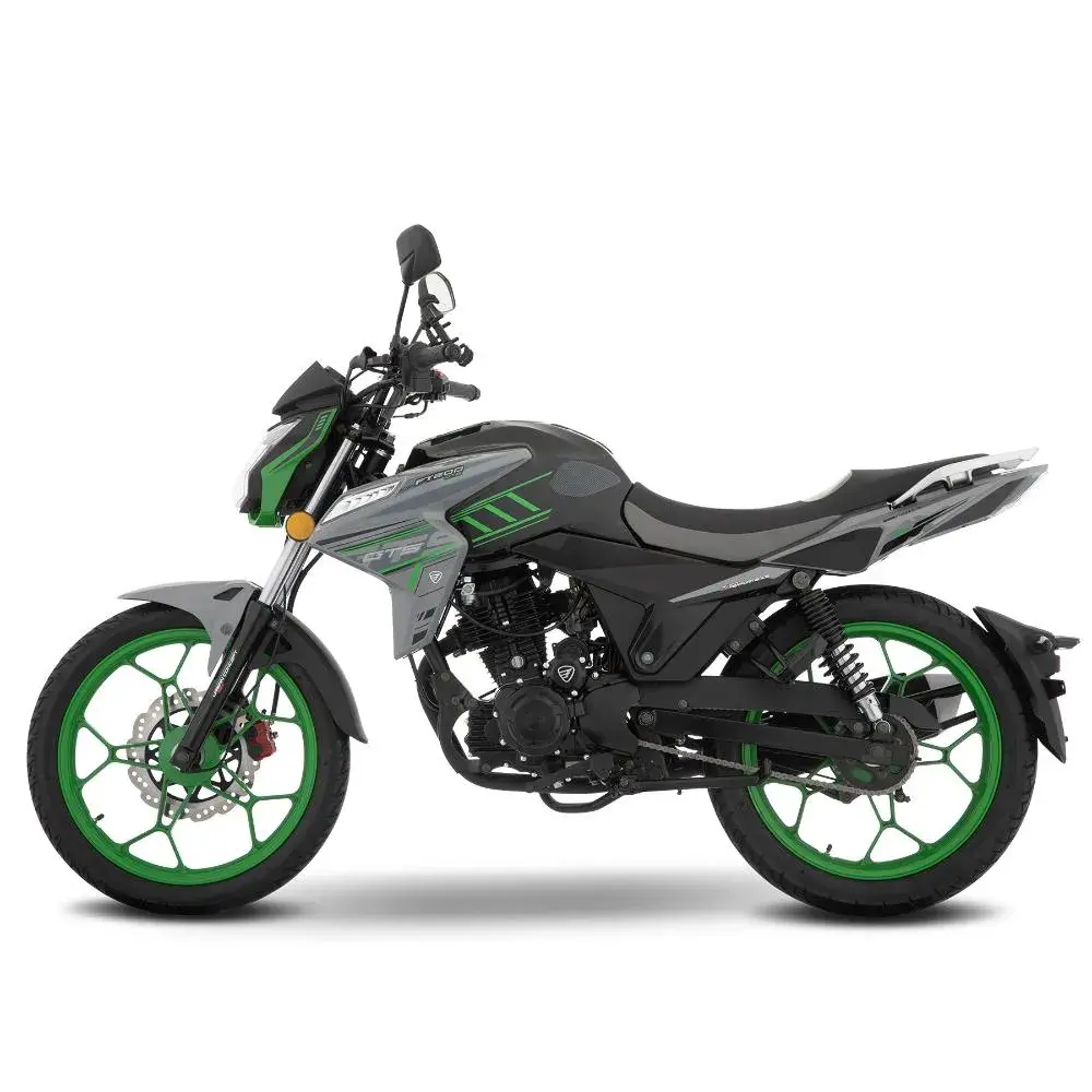 FT200 GTS Gris 4.webp