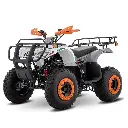 ATV 190 GRIS-03.webp