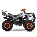ATV 190 GRIS-09.webp