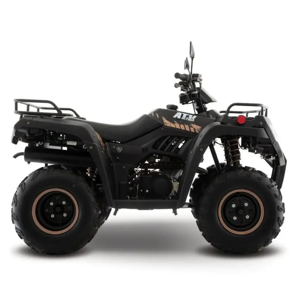 ATV250-05.webp