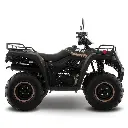 ATV250-05.webp