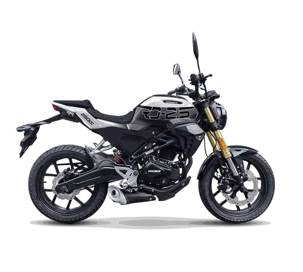 250 sport GRIS OX.webp