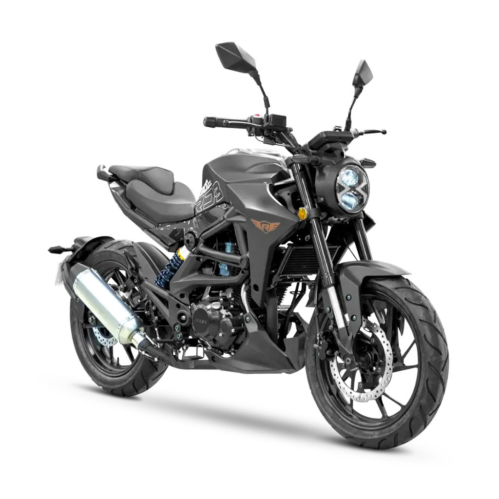 RD-3 300 (NEGRO)