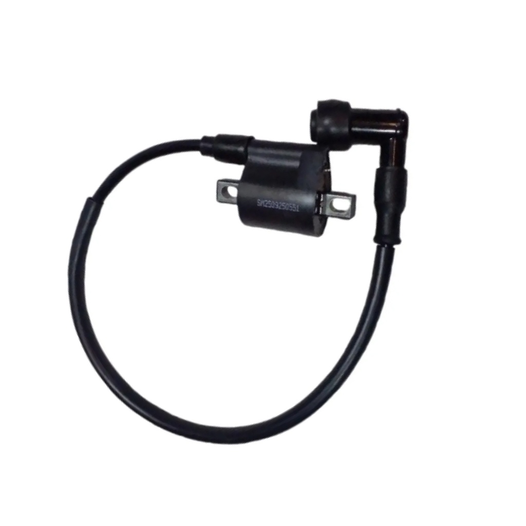 BOBINA DE IGNICION RD-2.5