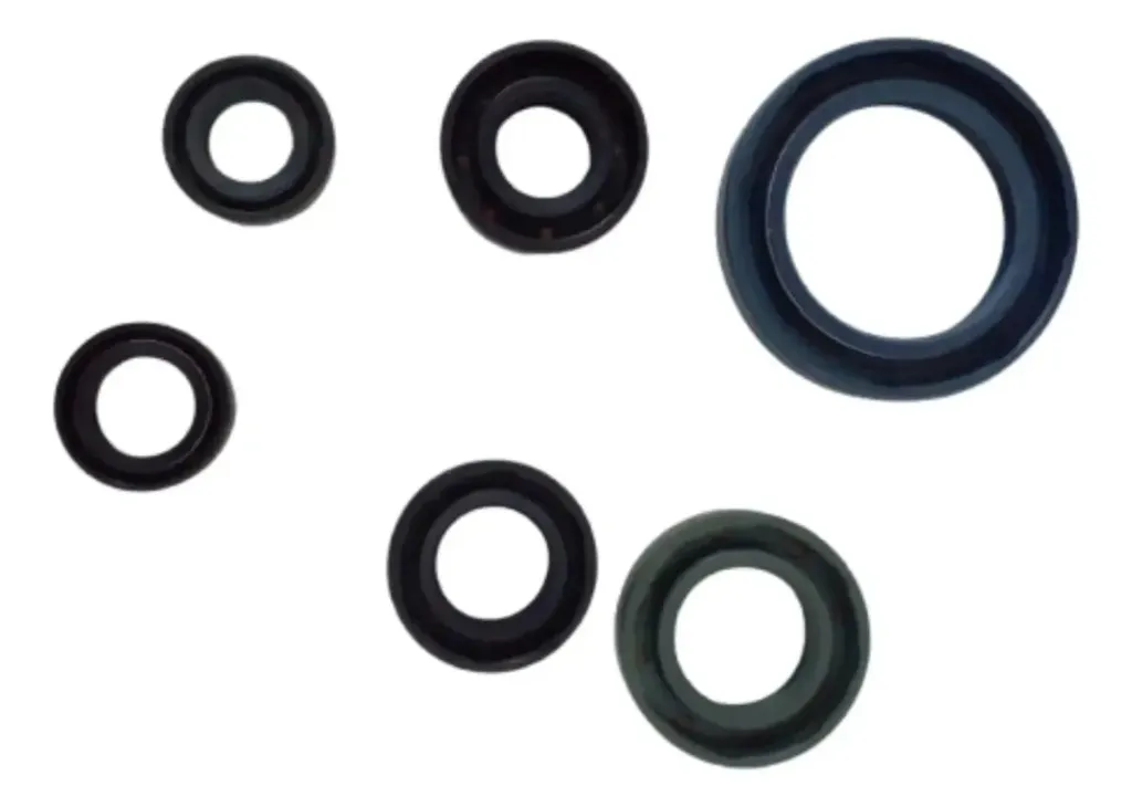 CONJUNTO COMPLETO DE RETENES DE MOTOR RUNGA 320Z