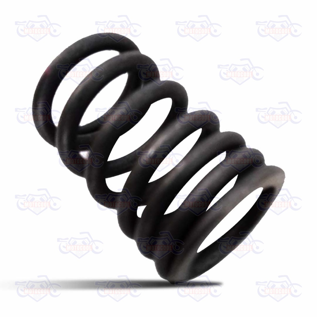 [170MM-E02-04] C-RESORTE EXTERIOR DE VÁLVULA RUNGA 250