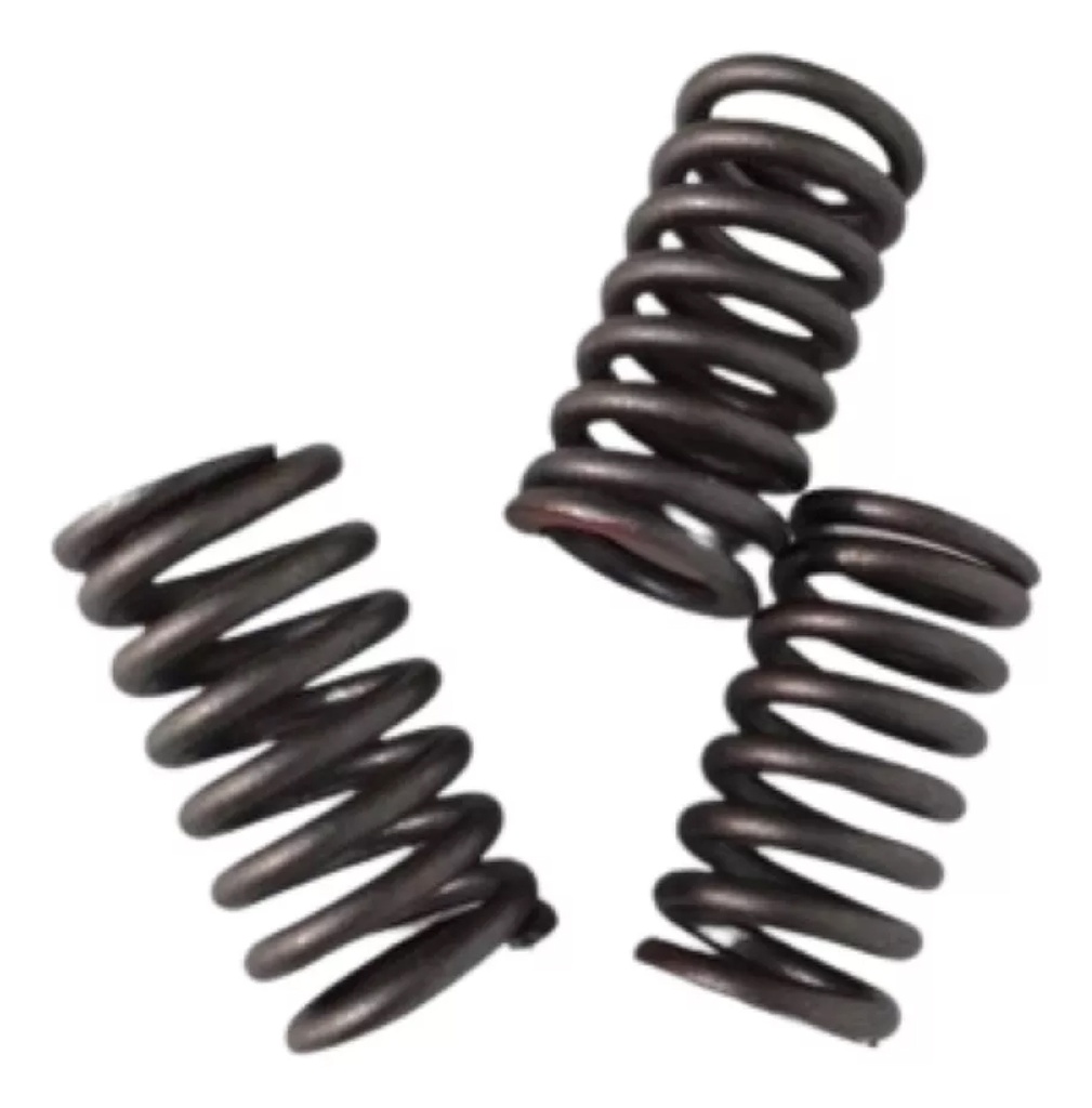 RESORTE INTERIOR DE VÁLVULA RUNGA 250