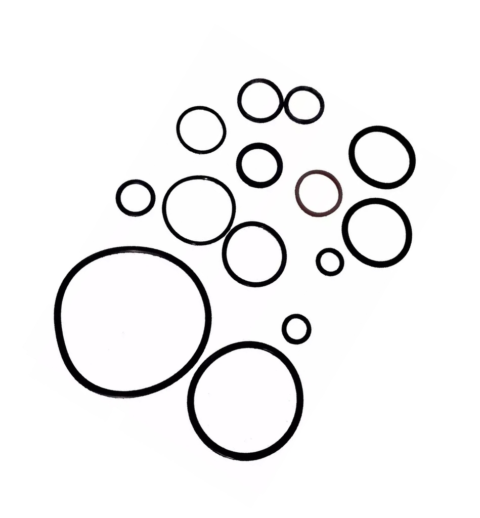 [170MM-E12-01] C-CONJUNTO COMPLETO DE RINGS DE MOTOR RUNGA 250