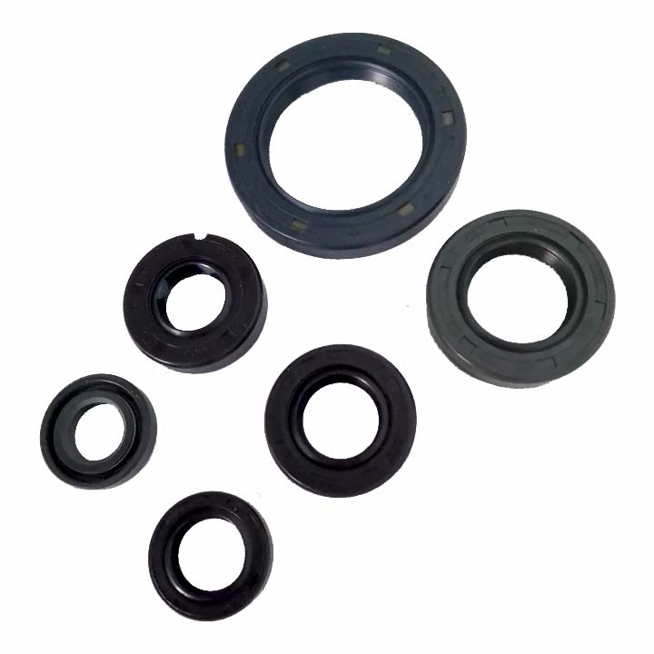 C-CONJUNTO COMPLETO DE RETENES DE MOTOR RUNGA 250
