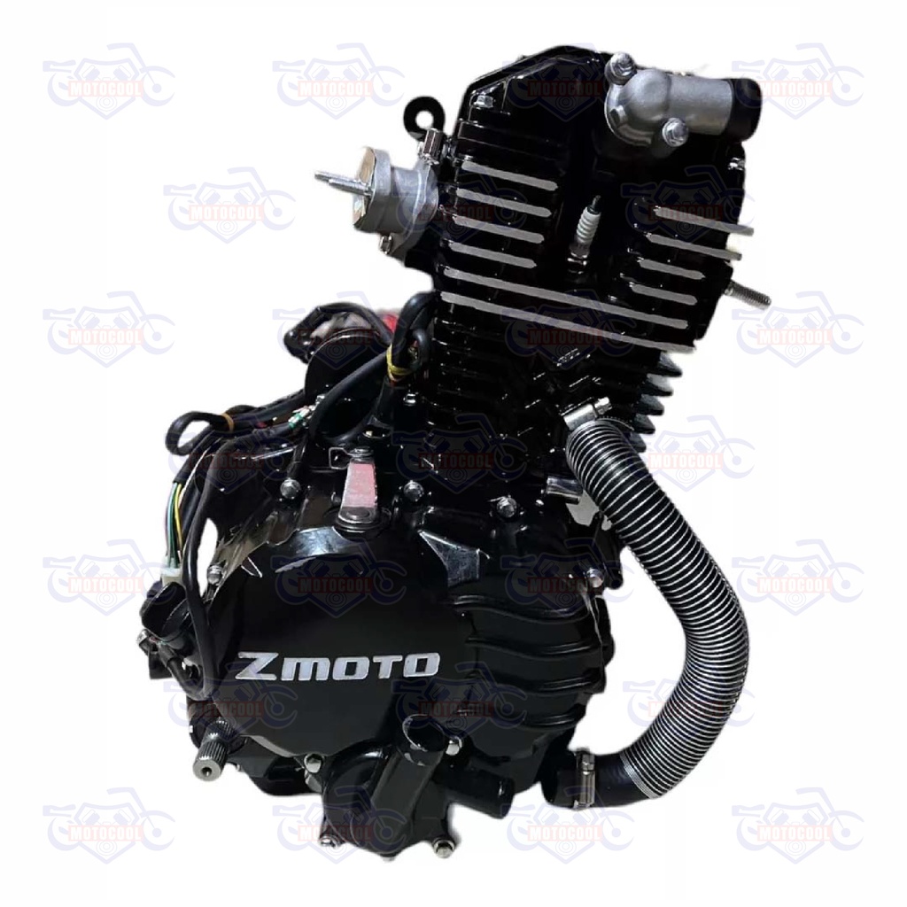 [RUNGA 250F-17-01] C-MOTOR COMPLETO RUNGA 250 170MM3R1205264