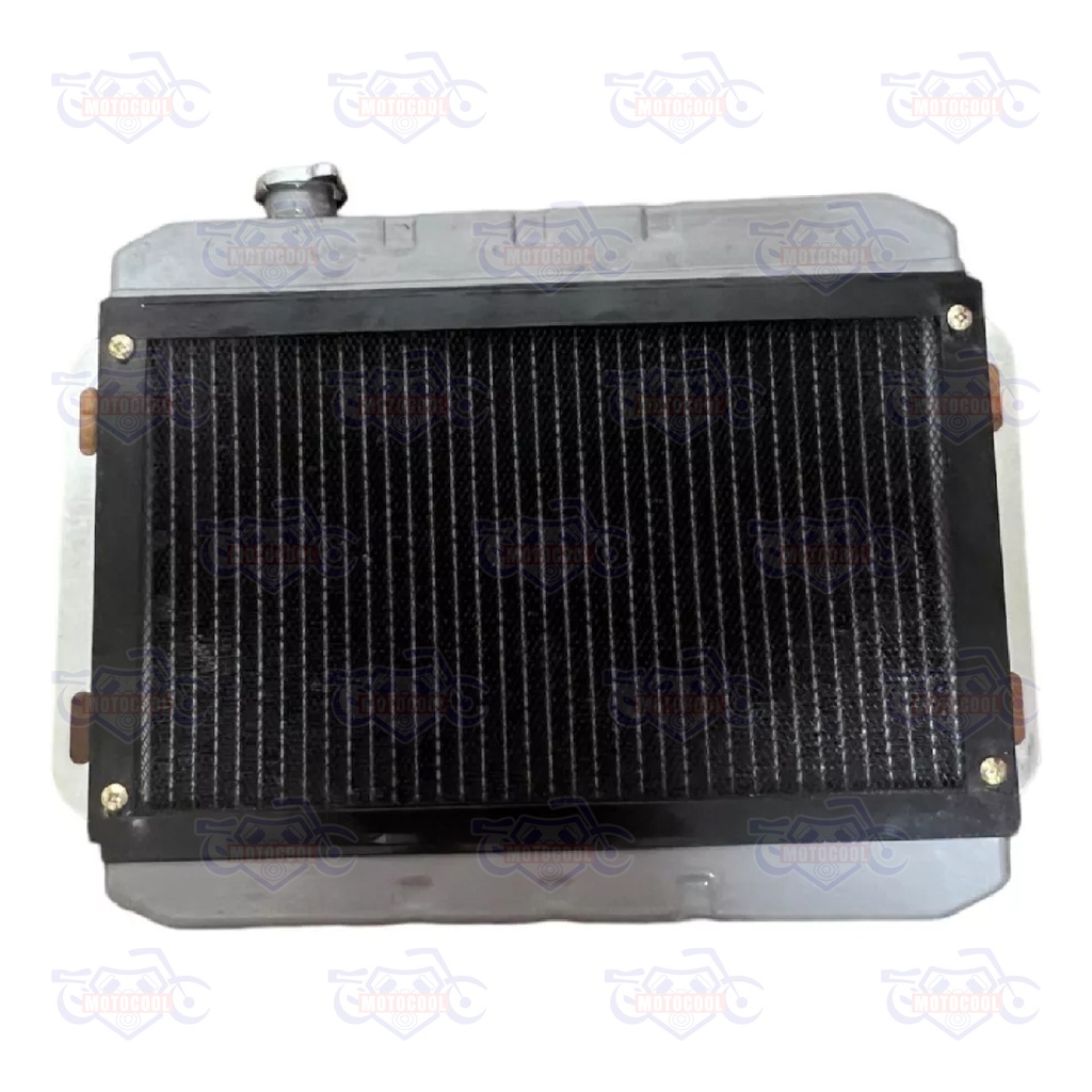 [RUNGA 250-F17-04] RADIADOR COMPLETO RUNGA 250