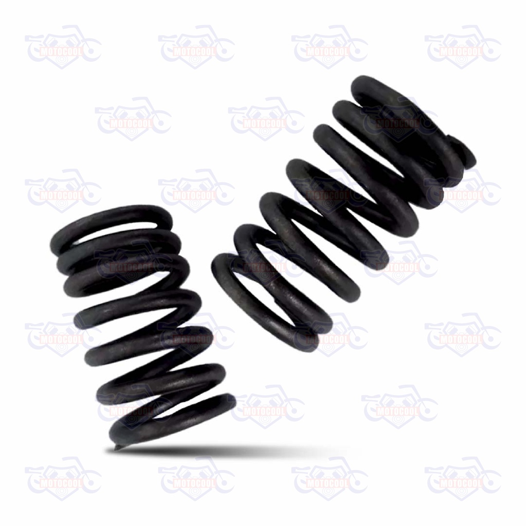 [SX6250-E02-09] RESORTE EXTERIOR DE VALVULA SX6