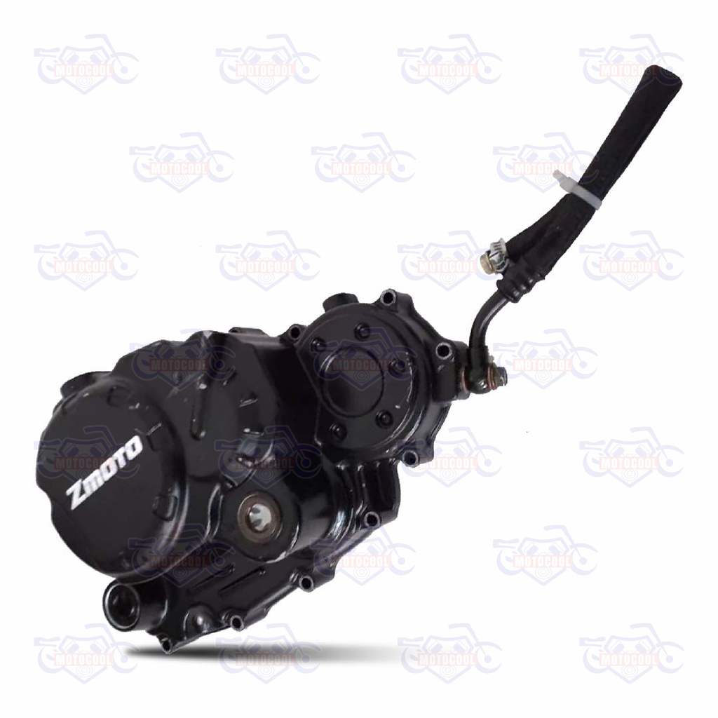 C-TAPA DE CARTER DERECHO SX6