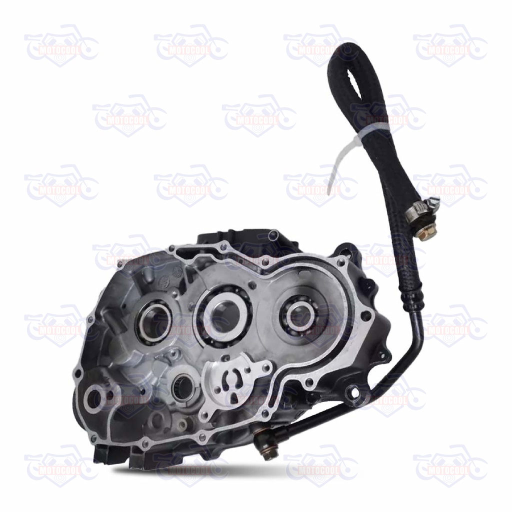 CARTER DERECHO SX6