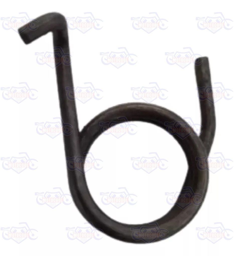 C-RESORTE DEL TOPE TAMBOR SX6