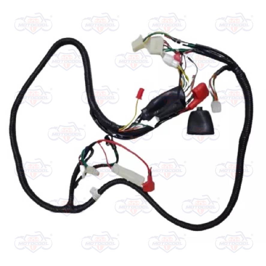 [F06050004] ARNES PRINCIPAL