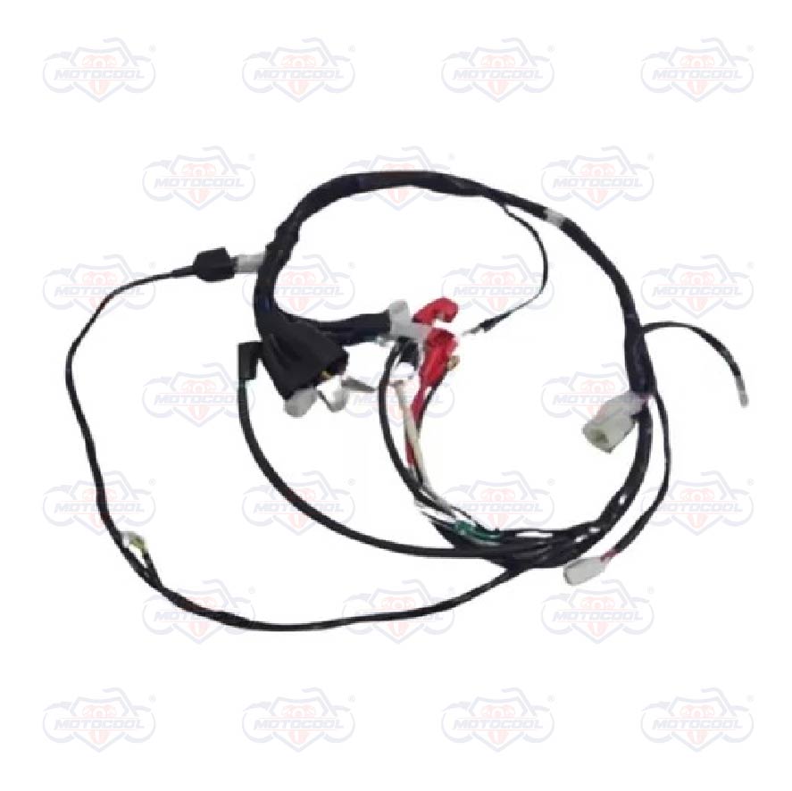 [F06050051] ARNES PRINCIPAL