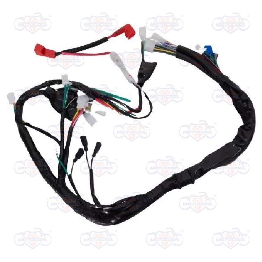 [F06050100] ARNES PRINCIPAL