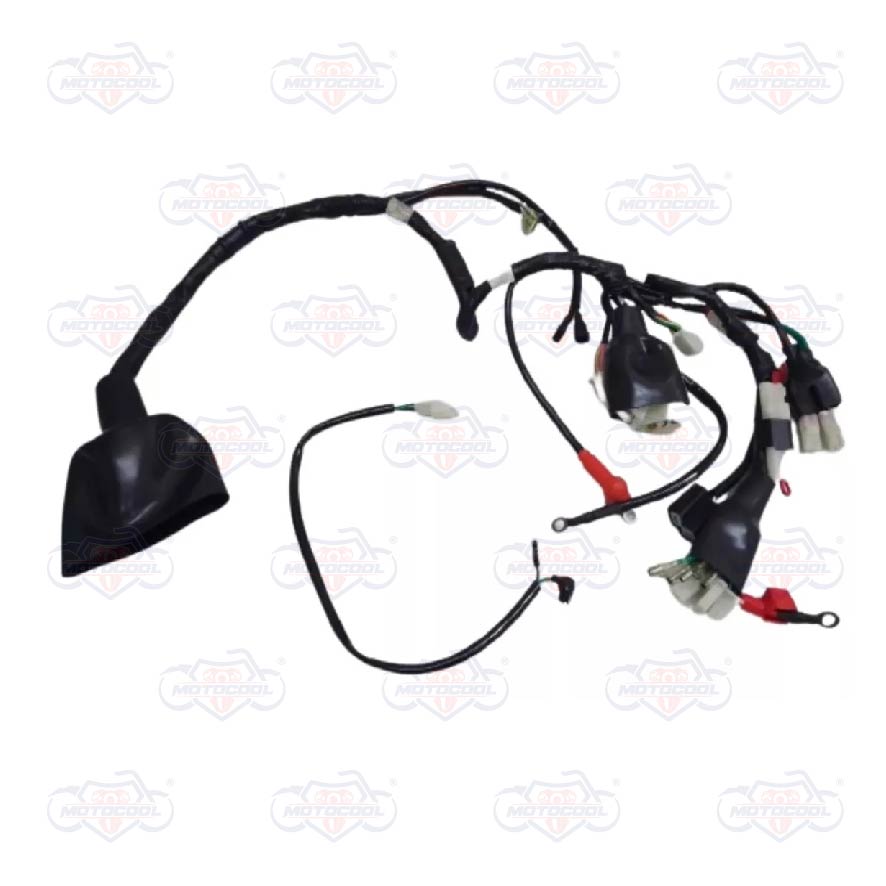 [F06050154] ARNES PRINCIPAL