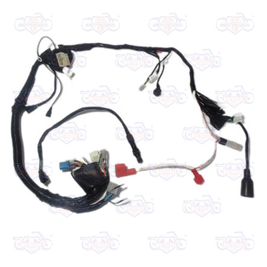 [F06050156] ARNES PRINCIPAL