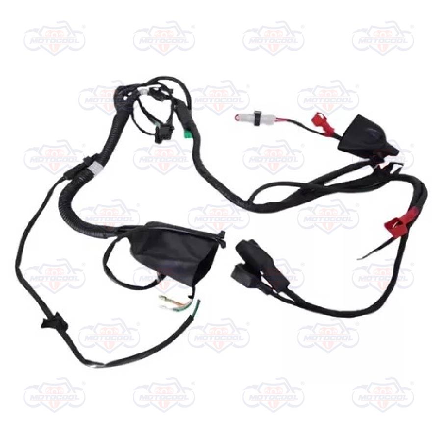 [F06050169] ARNES PRINCIPAL