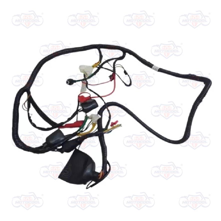 [F06050084] ARNÉS PRINCIPAL