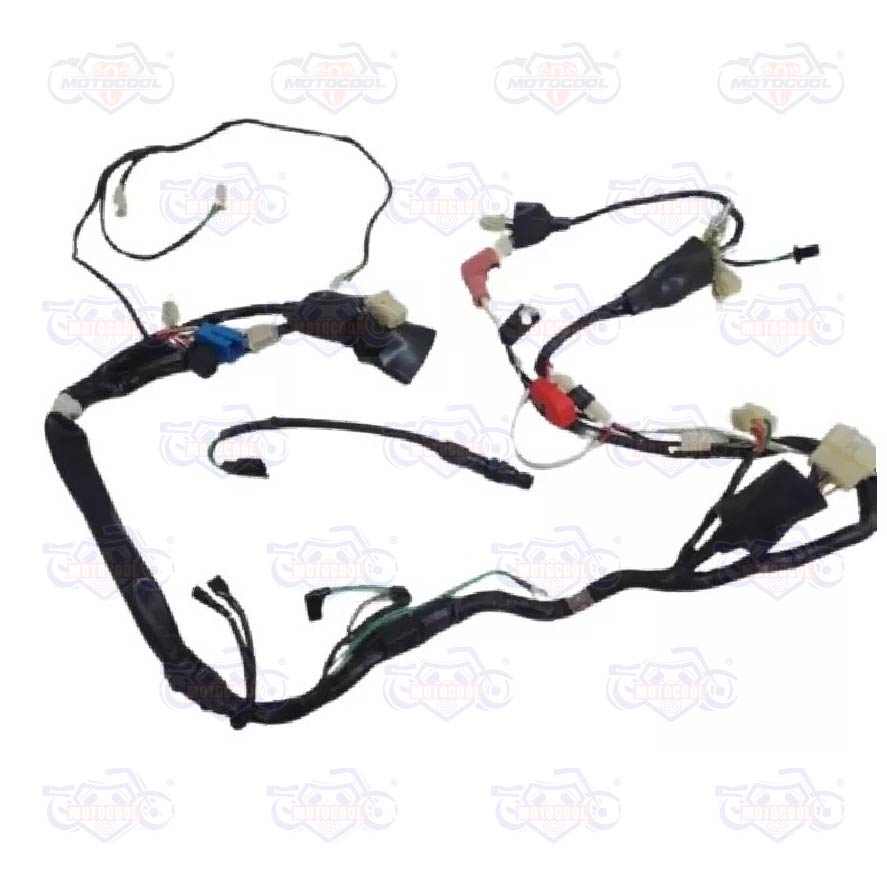 [F06050102] ARNÉS PRINCIPAL