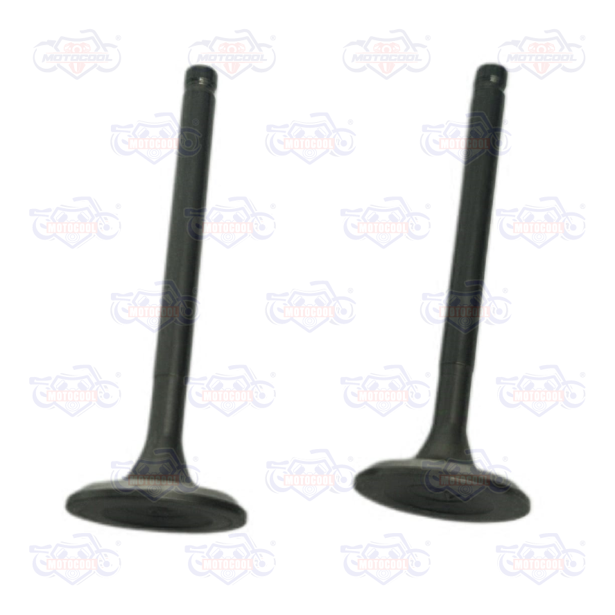 [F04050004] BASE ACELERADOR
