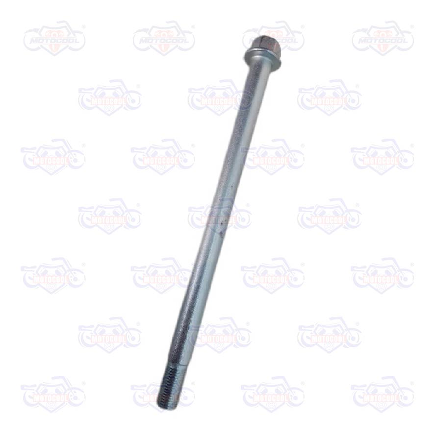 B-EJEDELARUEDATRASERA