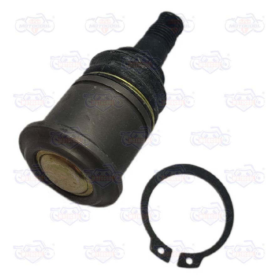 B-ROTULABRAZOINFERIOR