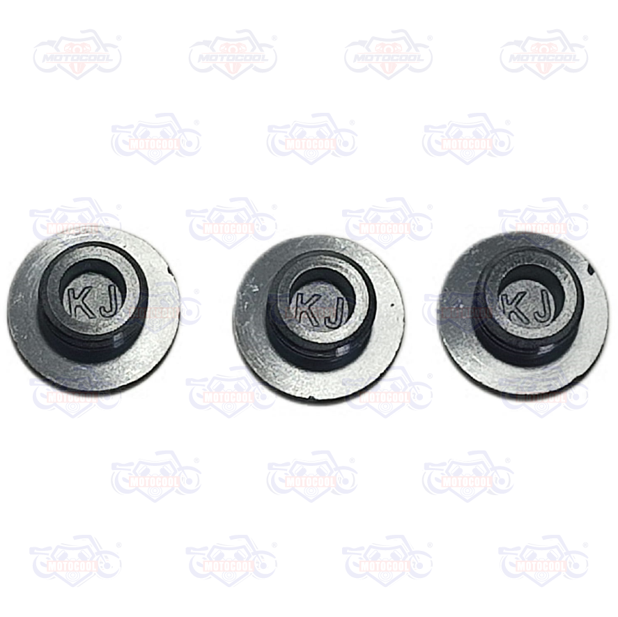 A-TAPON DE INSPECCION NEGRO RT200