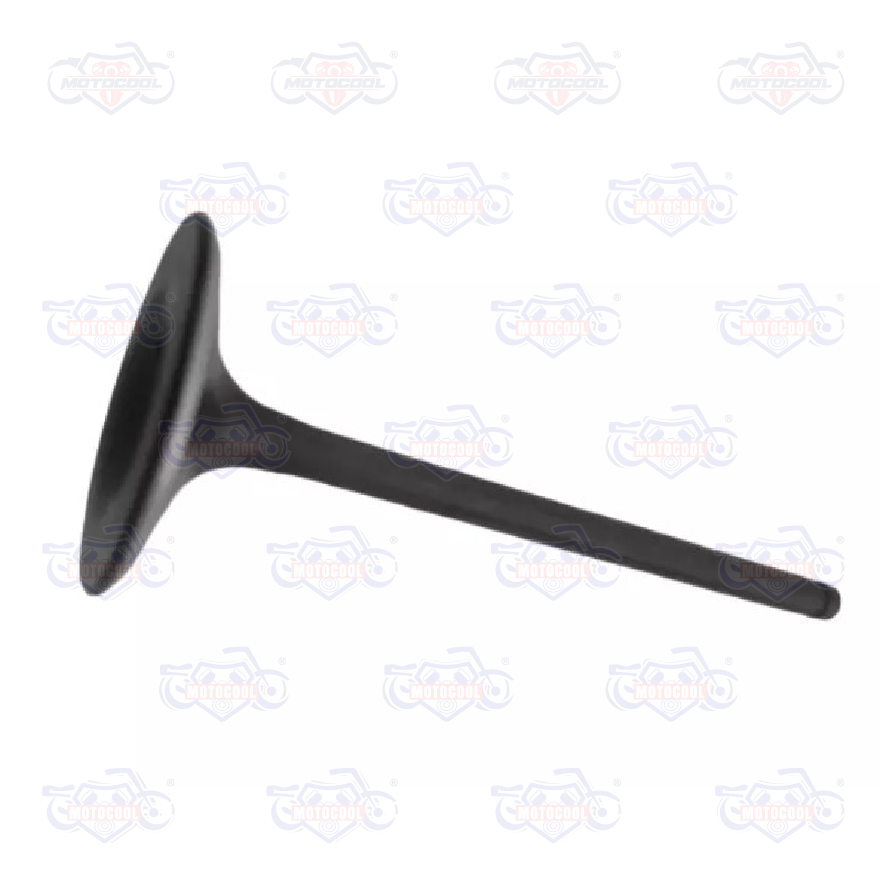 B-VALVULADEADMISIOND=5D=31