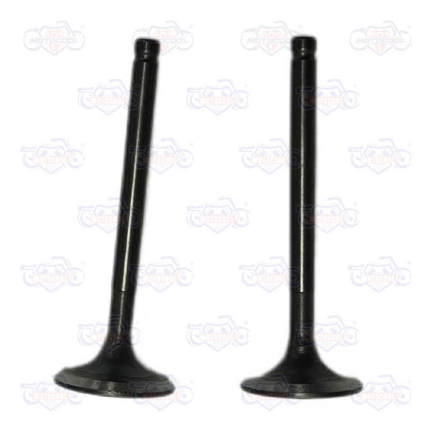 B-VALVULADEESCAPEDS125