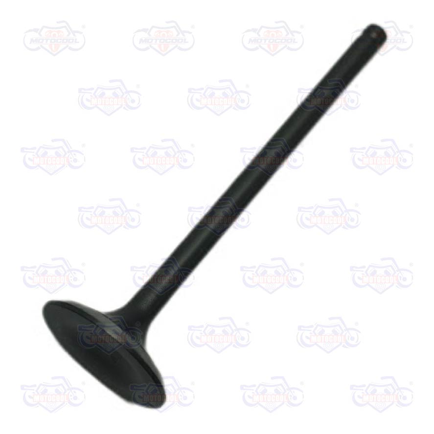 [E04050050] B-VALVULADEESCAPED=55D=27L=897