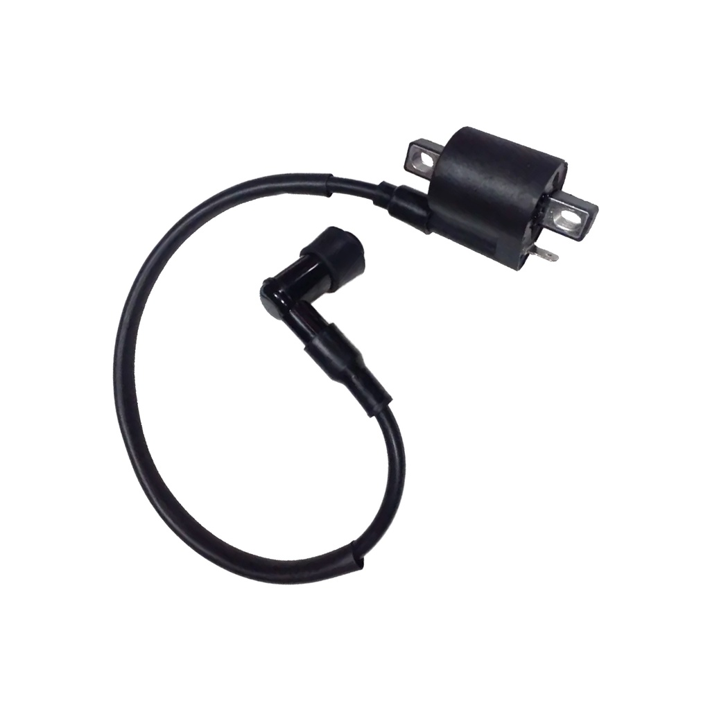 BOBINA DE IGNICION O ALTA RD1-150