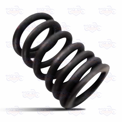 [170MM-E02-04] C-RESORTE EXTERIOR DE VÁLVULA RUNGA 250