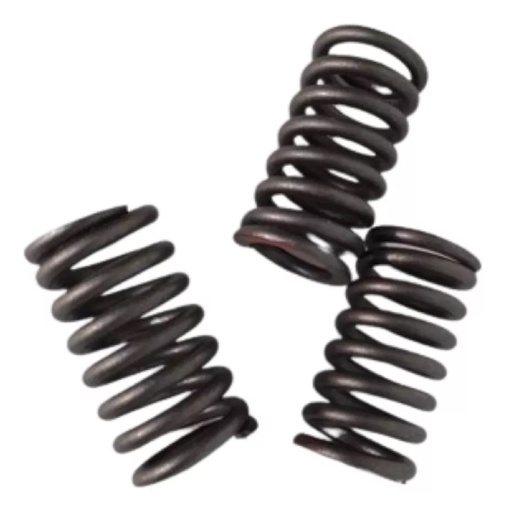 [170MM-E02-09] C-RESORTE INTERIOR DE VÁLVULA RUNGA 250