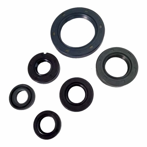 [170MM-E14-01] CONJUNTO COMPLETO DE RETENES DE MOTOR RUNGA 250