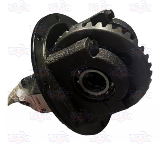 [RUNGA 250-F13-20] C-ENGRANES SATELITALES DIFERENCIAL RUNGA 250