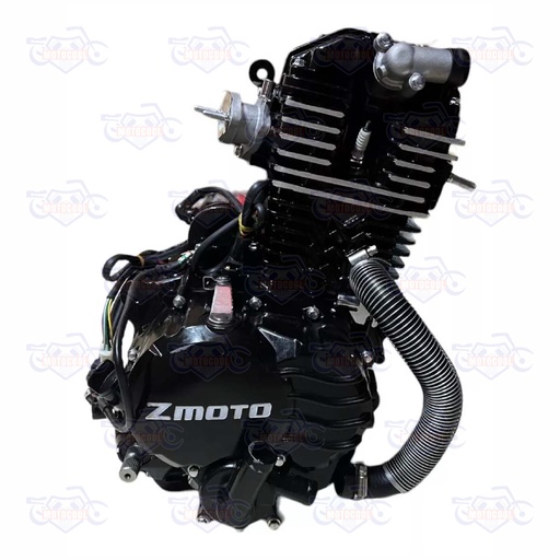 [RUNGA 250F-17-01] C-MOTOR COMPLETO RUNGA 250 170MM3R1205252