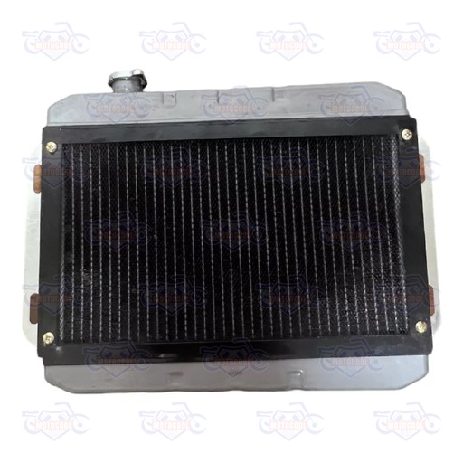 [RUNGA 250-F17-04] B-RADIADOR COMPLETO RUNGA 250