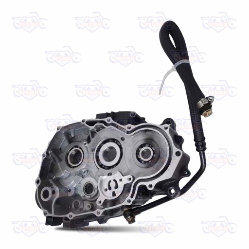 [SX6250-E05-01] CARTER DERECHO SX6