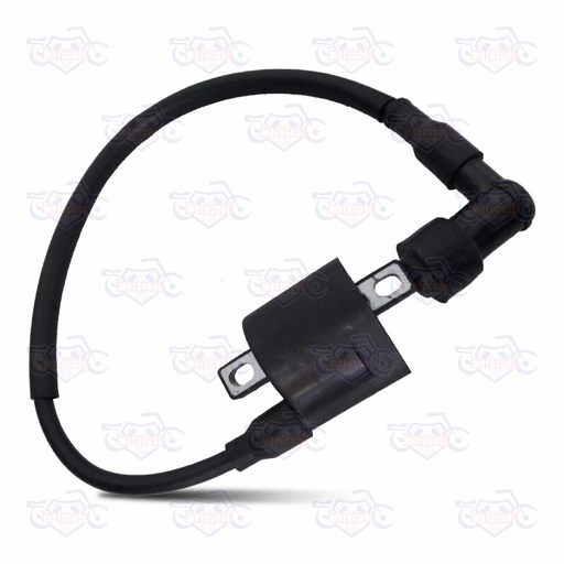 [SX6250-F01-02] BOBINA DE IGNICION SX6 250