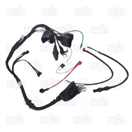 [F06050025] ARNES PRINCIPAL  FT150-GT-DT150 SPORT