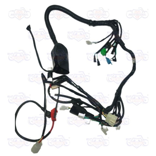 [F06050059] ARNES PRINCIPAL